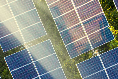 sustentabilidad-y-medio-ambiente